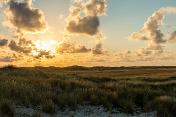 North Sea Dunes in the Sunset