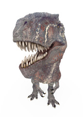 giganotosaurus id portrait on white background © DM7