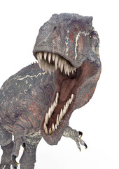 giganotosaurus in action on white background close up view © DM7