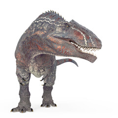 giganotosaurus is looking for food on white background © DM7