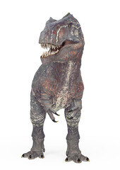 giganotosaurus is standing up on white background © DM7