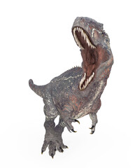 giganotosaurus is running on white background front view © DM7