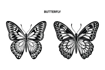 Butterfly Silhouette Vector Illustration