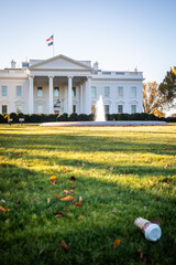 Paper Cup Trash on the Lawn in Front of the White House in Washington, DC, USA on a sunny Day with Blue Sky - Copy Space