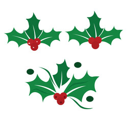 Christmas holly. Holly berry vector. Holly berry leaves Christmas symbol. Vector illustation,
