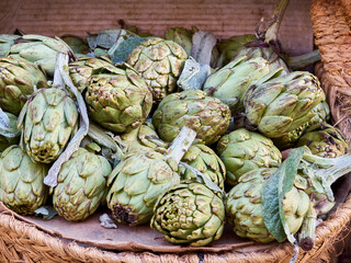 Obraz premium Organic artichokes in a wicker basket. Genus: Cynara, family: Asteraceae