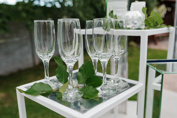 Elegant Display of Glass Champagne Flutes Surrounded by Fresh Green Leaves