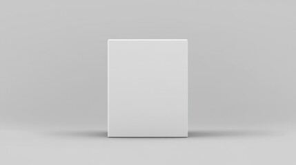 Blank white box mockup on gray background.