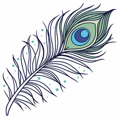 peacock feather