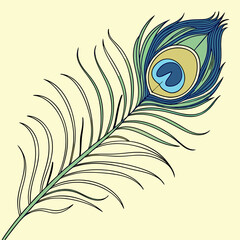 peacock feather