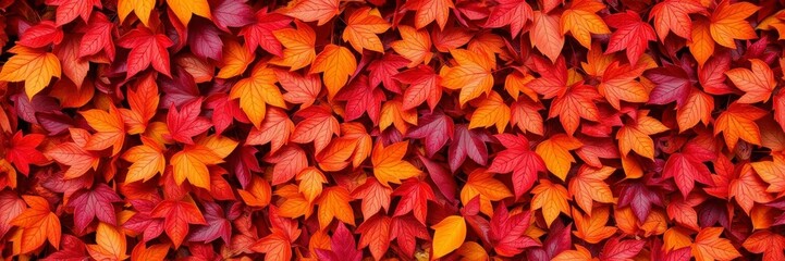 Fototapeta premium Dry orange metallic leaves arranged in a beautiful pattern on a rich violet background, background, foliage, seasonal