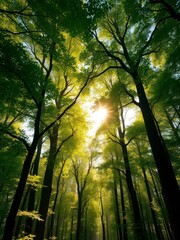 Naklejka premium A leafy green forest canopy with sunlight filtering through, earthy tones, foliage, light natural linen texture