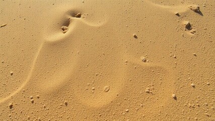 Close-up of fine beach sand glistening under the summer sun, coast, outdoor, relaxation