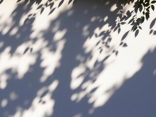 A collection of various shaped dappled light shadows cast on a surface, silhouette, illuminate