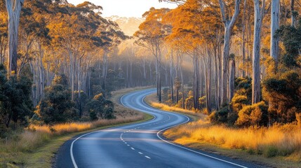 Fototapeta premium A winding road through a serene forest at sunrise, showcasing nature's beauty.