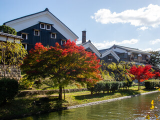 京都 伏見を流れる湊川の秋