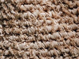 Hand weaving of natural fibres