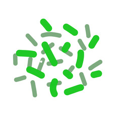 Acidophilus Probiotics 