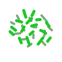 Acidophilus Probiotics 