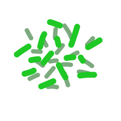 Acidophilus Probiotics 