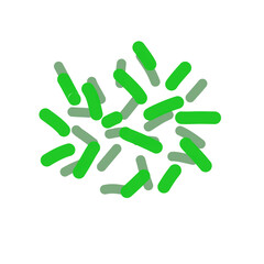 Acidophilus Probiotics 