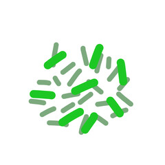 Acidophilus Probiotics 