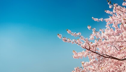 春の美しい桜の木と花びらと空の背景。AIで生成