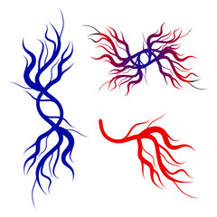 Obraz premium Human blood veins and arteries capillaries bloodstream