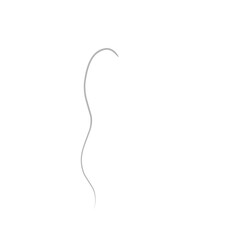 Obraz premium Single Ash Grey Hair 