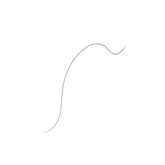 Single Ash Grey Hair 