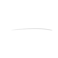 Single Ash Grey Hair 
