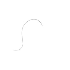 Single Ash Grey Hair 