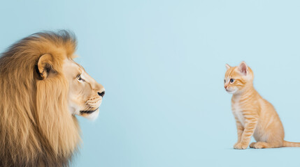 Lion and Kitten Gaze at Each Other Against Blue Background Showcasing Contrast Between Power and Innocence in Animal Photography for Inspirational Design and Reflection Concepts