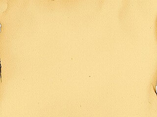 Old vintage paper canvas texture with worn edges and aged creases, weathered, rustic, artistic