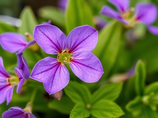 Purple flower petals and leaves set against a blurred green background, plant, purple, fresh