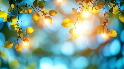 Sunrise over a lush paddy field, with bokeh effects creating a dreamy atmosphere, capturing the essence of farming and the promise of a new day.