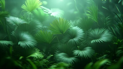 A mint-colored abstract tropical background featuring subtle palm tree shadows, perfect for showcasing products in a peaceful and vibrant mockup or presentation template.