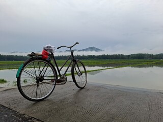 Fototapeta premium A vintage bicycle parked on a concrete path overlooking serene rice fields and reflective water. The misty hills in the background 