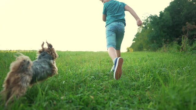 A young boy running with his dog. Boy, run, dog, park child, runs, summer, dog. A dog runs in the summer with a lifestyle child.