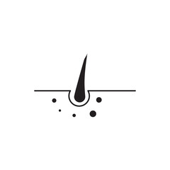 hair follicles icon, vector flat black root icon trendy style illustration for web and app..eps