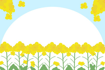 黄色い菜の花畑と青空の背景素材