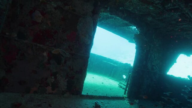 buceando y explorando el interior de un naufragio en el fondo del mar