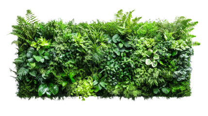 Naklejka premium green plant wall panel isolated transparent background