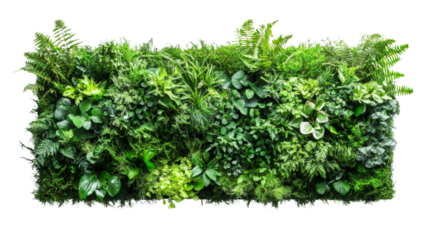 green plant wall panel isolated transparent background