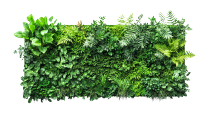 green plant wall panel isolated transparent background