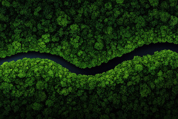 Obraz premium A green forest with a river running through it