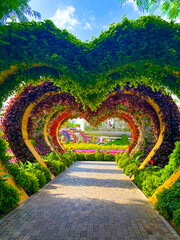 flower park in dubai for background