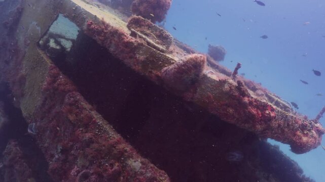 buceando y explorando un naufragio en el fondo del mar