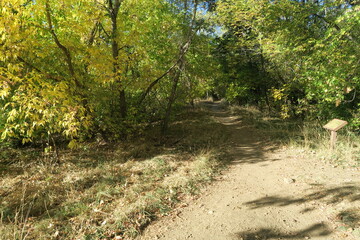 Trails along the creek in fall, Boulder, Colorado