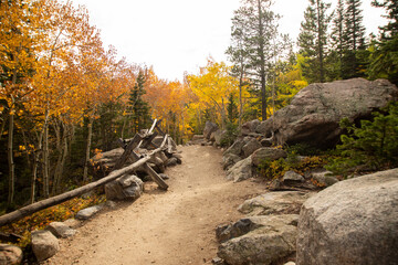 Fototapeta premium fall path